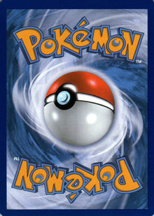 Piloswine - BREAKthrough - 81 - Back