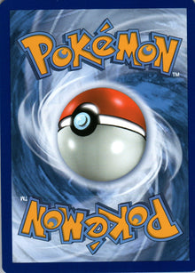 Bayleef - BREAKpoint - 2 - Back