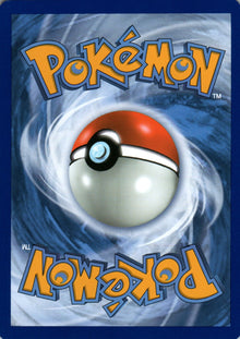 Scizor Spirit Link - BREAKpoint - 111 - Back