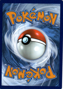 Cynthia's Roserade - Destined Rivals - 008 - Back