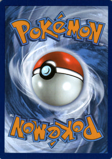 Fomantis - Destined Rivals - 013 - Back