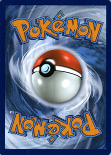 Combusken - Destined Rivals - 041 - Back